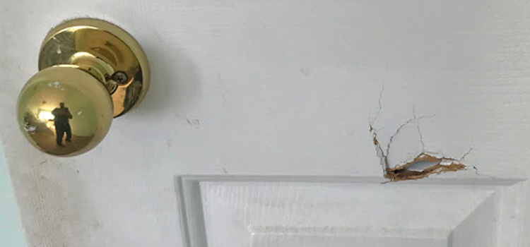 interior door hole repair Lawndale